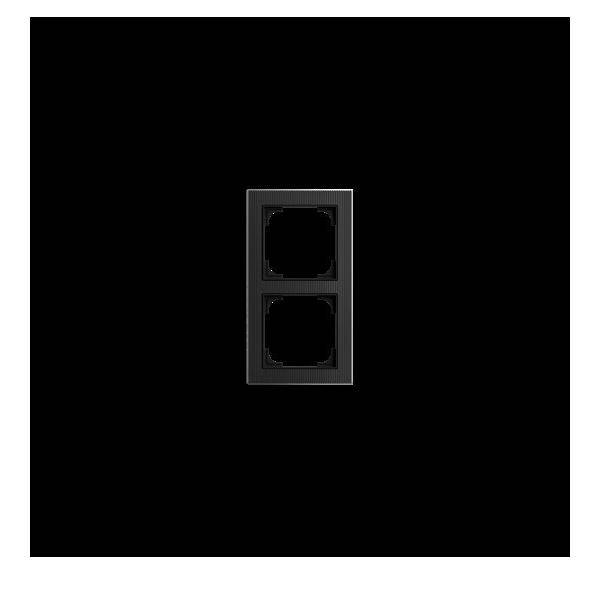 Busch-Jaeger Abdeckrahmen 2-fach 1722-4025