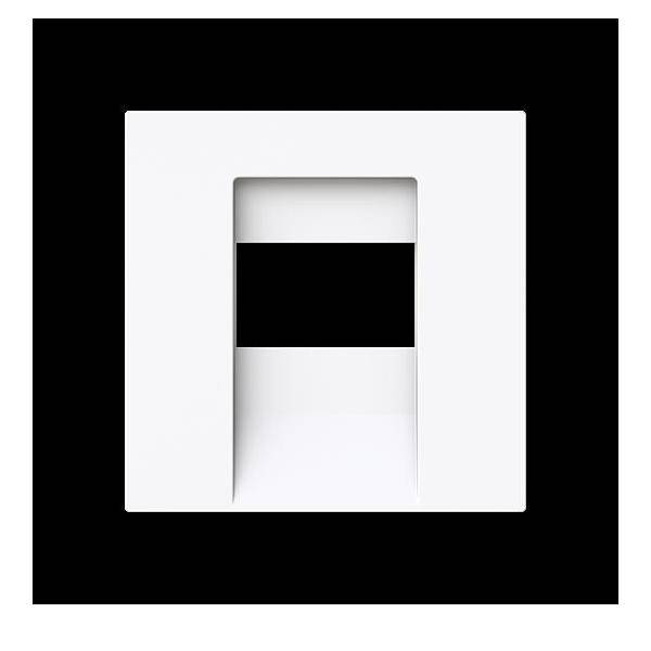 Busch-Jaeger Zentralscheibe 1766-44G