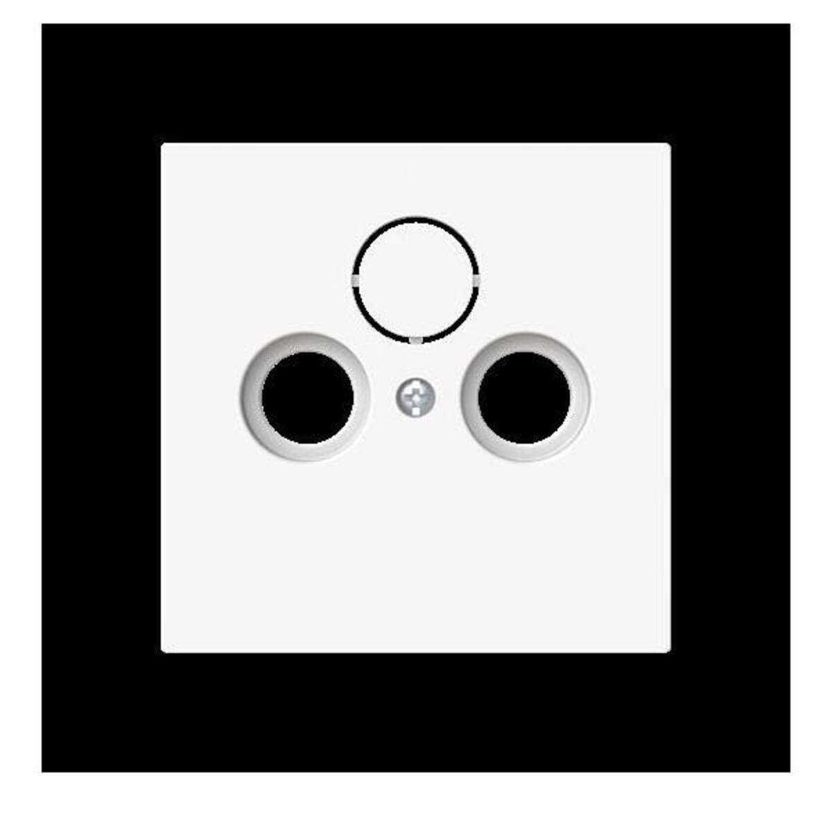 Busch-Jaeger Zentralscheibe 1743-44M