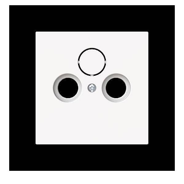 Busch-Jaeger Zentralscheibe 1743-44M