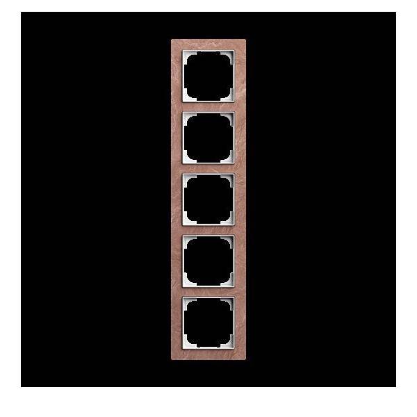 Busch-Jaeger Abdeckrahmen 5-fach 1725-4097