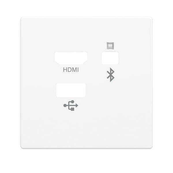 Busch-Jaeger Zentralscheibe 8256-84