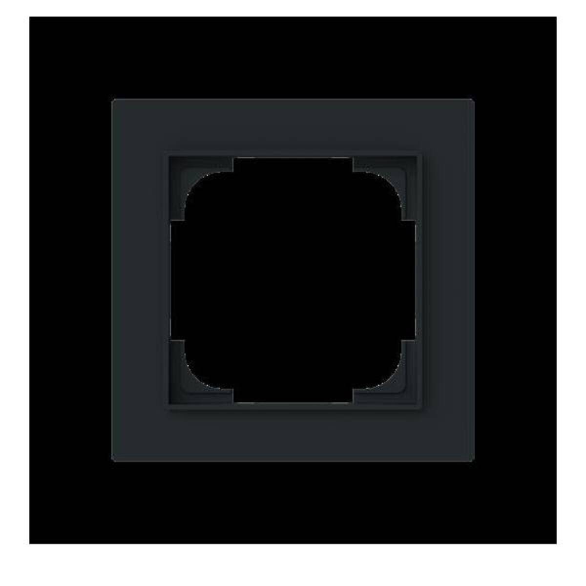 Busch-Jaeger Abdeckrahmen 1-fach 1721-45M