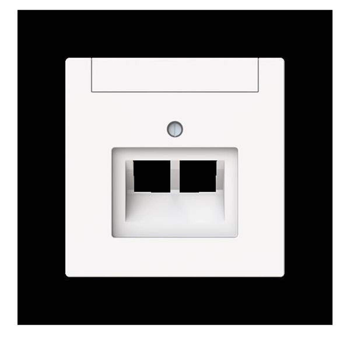 Busch-Jaeger Zentralscheibe 2-fach, UAE 1803-02-44M