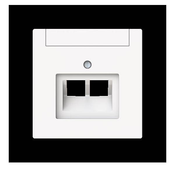 Busch-Jaeger Zentralscheibe 2-fach, UAE 1803-02-44M