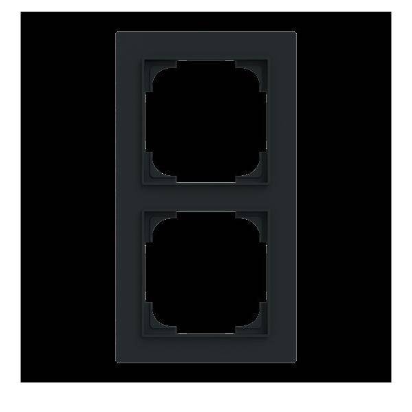 Busch-Jaeger Abdeckrahmen 2-fach 1722-45M