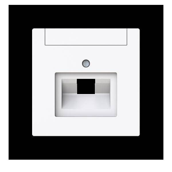 Busch-Jaeger Zentralscheibe 1-fach, UAE 1803-44G