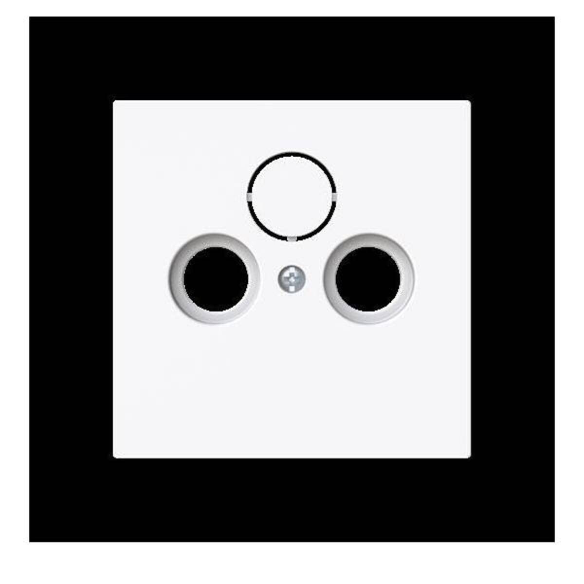 Busch-Jaeger Zentralscheibe 1743-44G