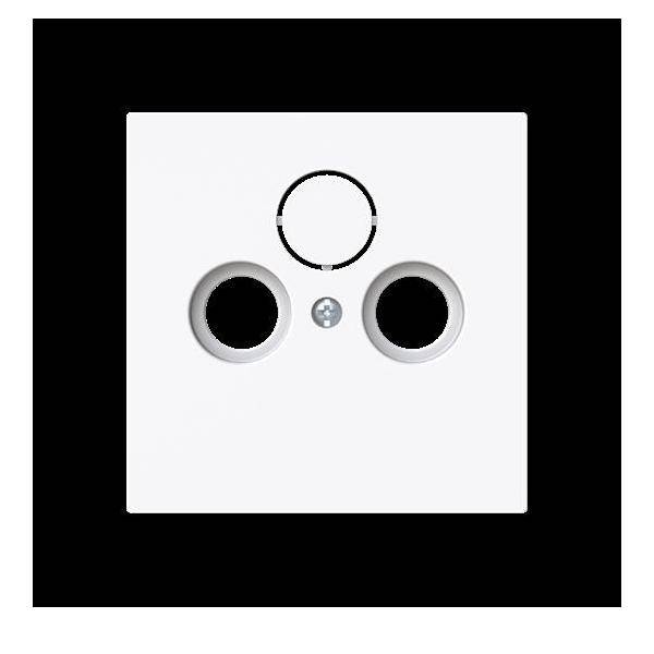 Busch-Jaeger Zentralscheibe 1743-44G