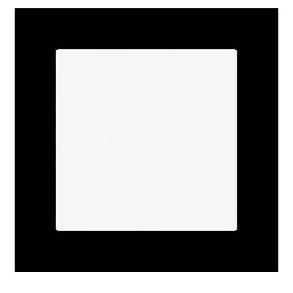 Busch-Jaeger Zentralscheibe 1746-44G