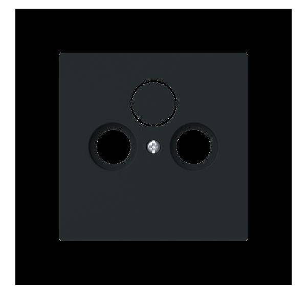 Busch-Jaeger Zentralscheibe 1743-45M