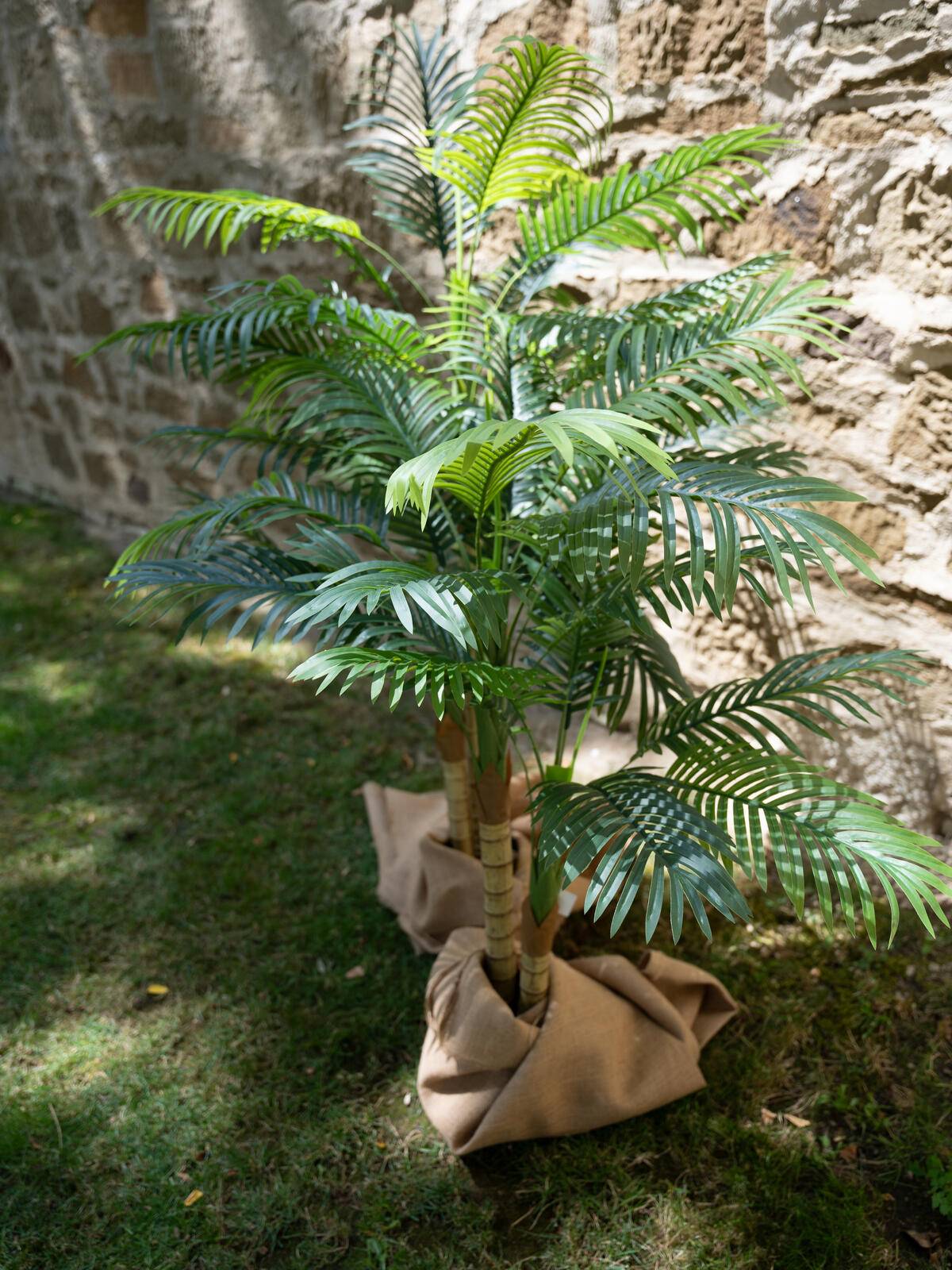EUROPALMS Areca Palme, 2-stämmig, Kunstpflanze, 120cm