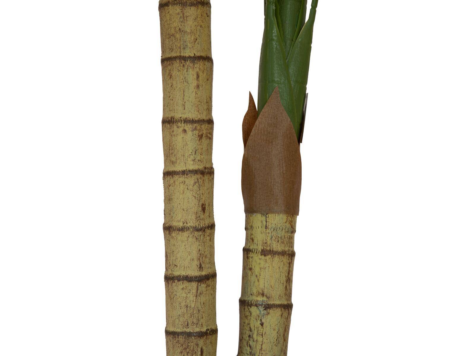EUROPALMS Areca Palme, 2-stämmig, Kunstpflanze, 120cm