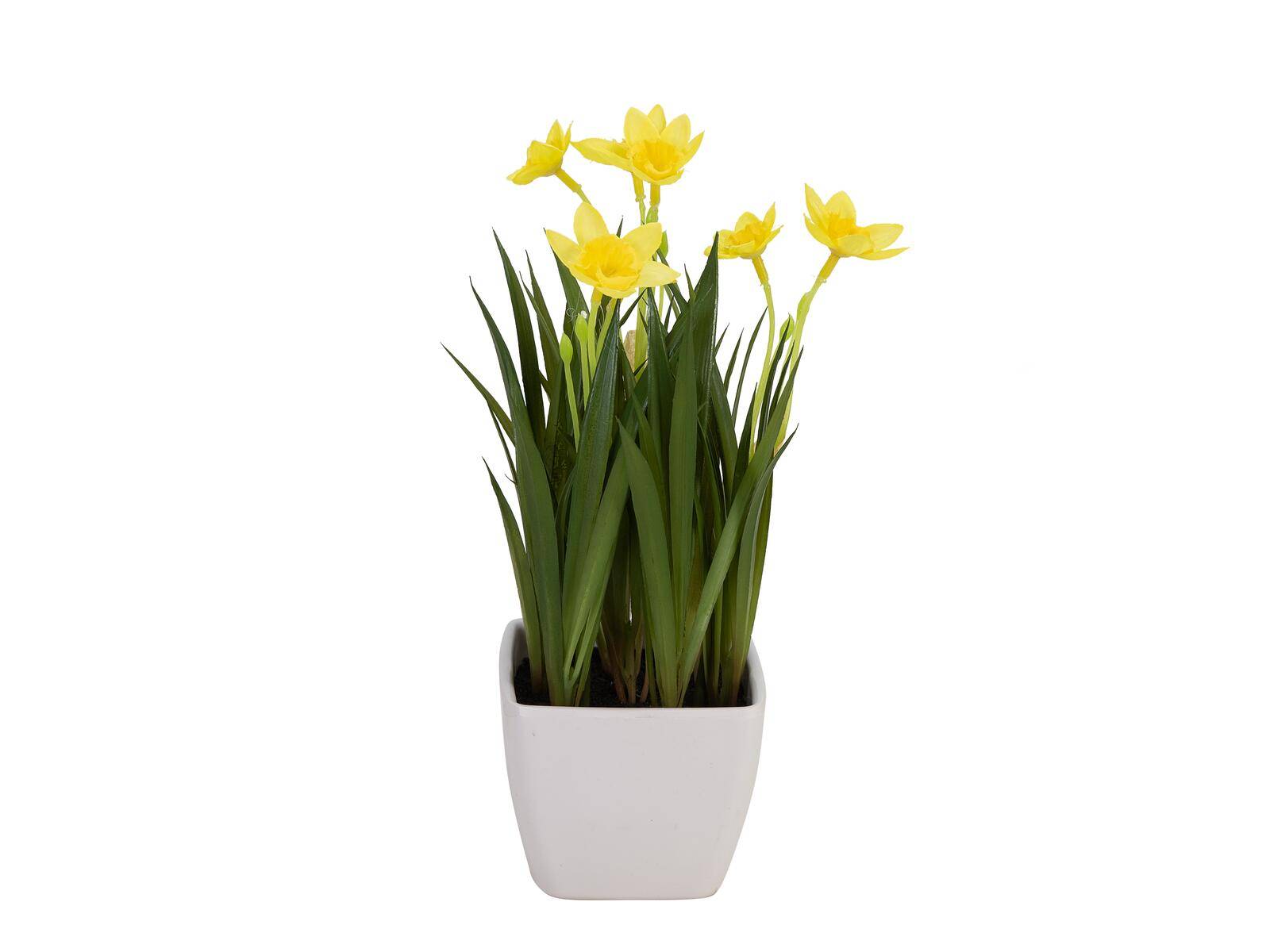 EUROPALMS Narzisse, Kunstpflanze, 23cm
