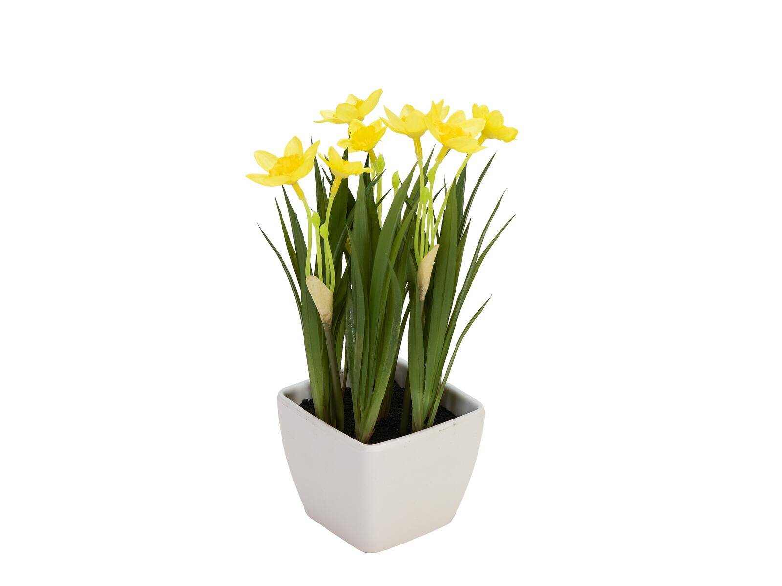 EUROPALMS Narzisse, Kunstpflanze, 23cm