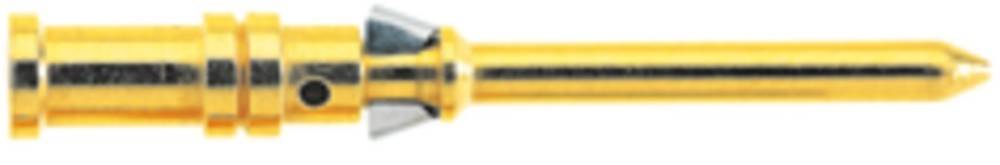 Ein glänzender goldener Schlüssel mit einem runden Kopf und Kerben.