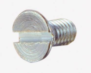 Eine Nahaufnahme einer Metallschraube mit flachem, geschlitztem Kopf und gewindeter Oberfläche.