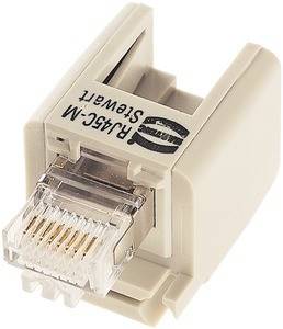 Nahaufnahme eines beigen RJ45 Cat6 Ethernet Buchse-zu-Buchse Kopplers, der zum Verbinden zweier Ethernet-Kabel verwendet wird.