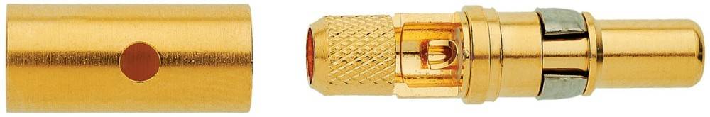 Goldener Koaxialkabel-Anschluss mit strukturiertem Griff und rotem Innenbereich, verwendet für Audio- oder Videoverbindungen.