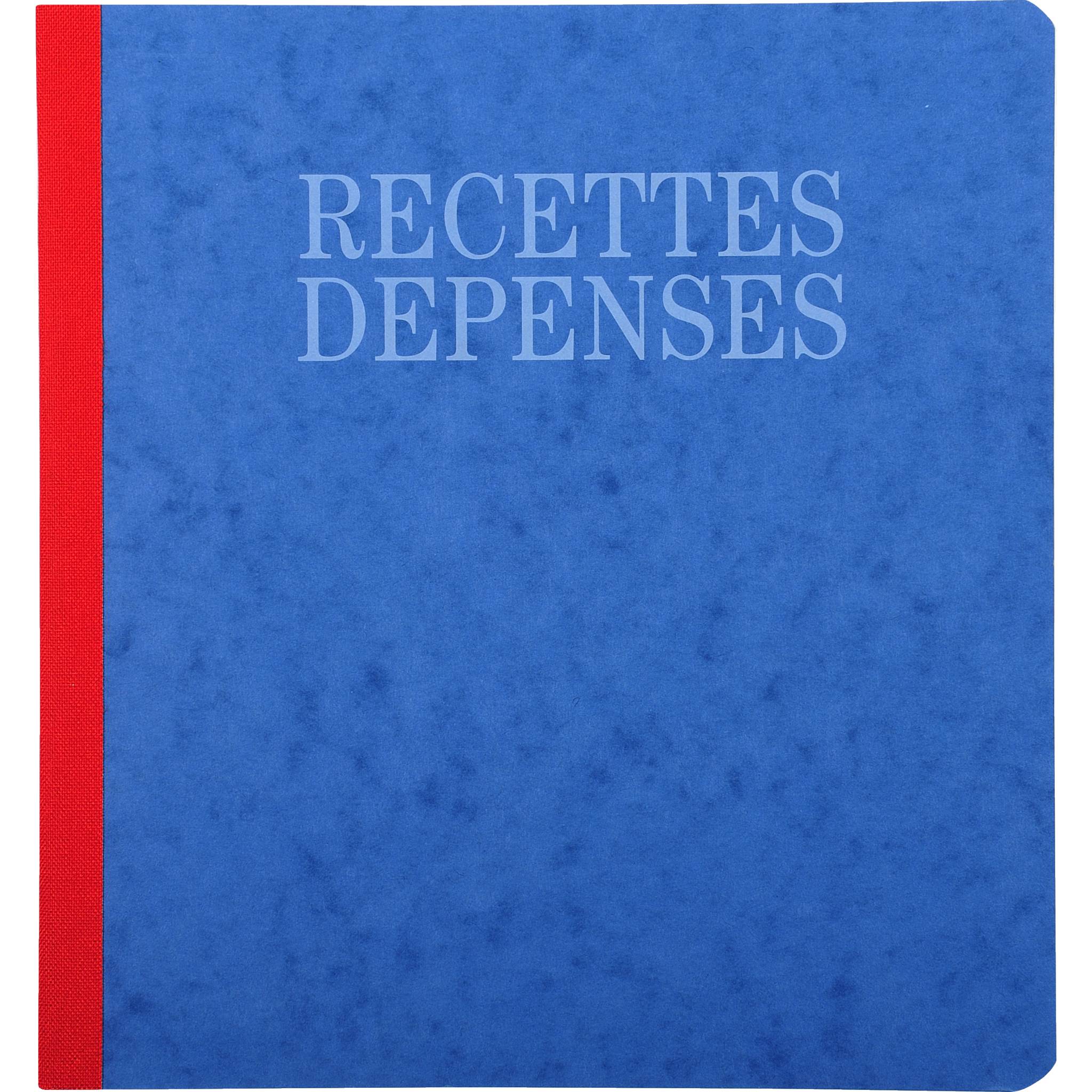 Exacompta 5x Geschaeftsbuch 32x19,5 Ein-Ausgabe 80S - 930E