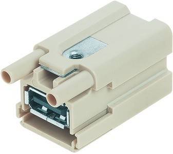 Ein beiger elektrischer Steckverbinder mit zwei zylindrischen Stiften und einer sichtbaren Schraube, der für sichere Kabelverbindungen verwendet wird.