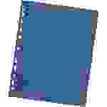 Falken 80001605F 500x Falken - Trennblätter, 24 x 30cm, 230g/m2, durchgefärbt, 100er Poly - Blau