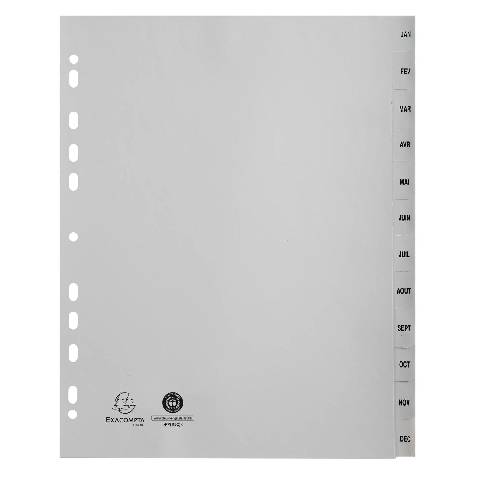 Exacompta 10x Register A4 RC-PP 120µ Taben Jan-Dec (FR) 12 Positionen Grau 2812E