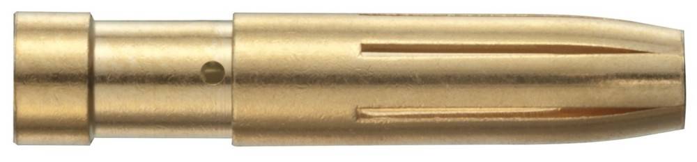 Eine Nahaufnahme eines metallischen, goldfarben Zylinderobjekts mit Rillen, möglicherweise Teil eines Werkzeugs oder einer mechanischen Komponente.