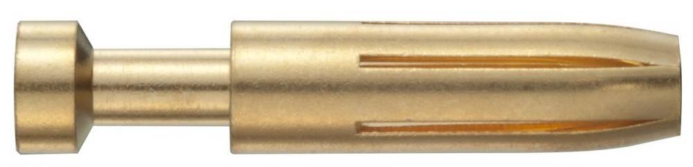 Nahaufnahme eines goldfarbenen zylindrischen Objekts mit Rillen auf der Oberfläche.