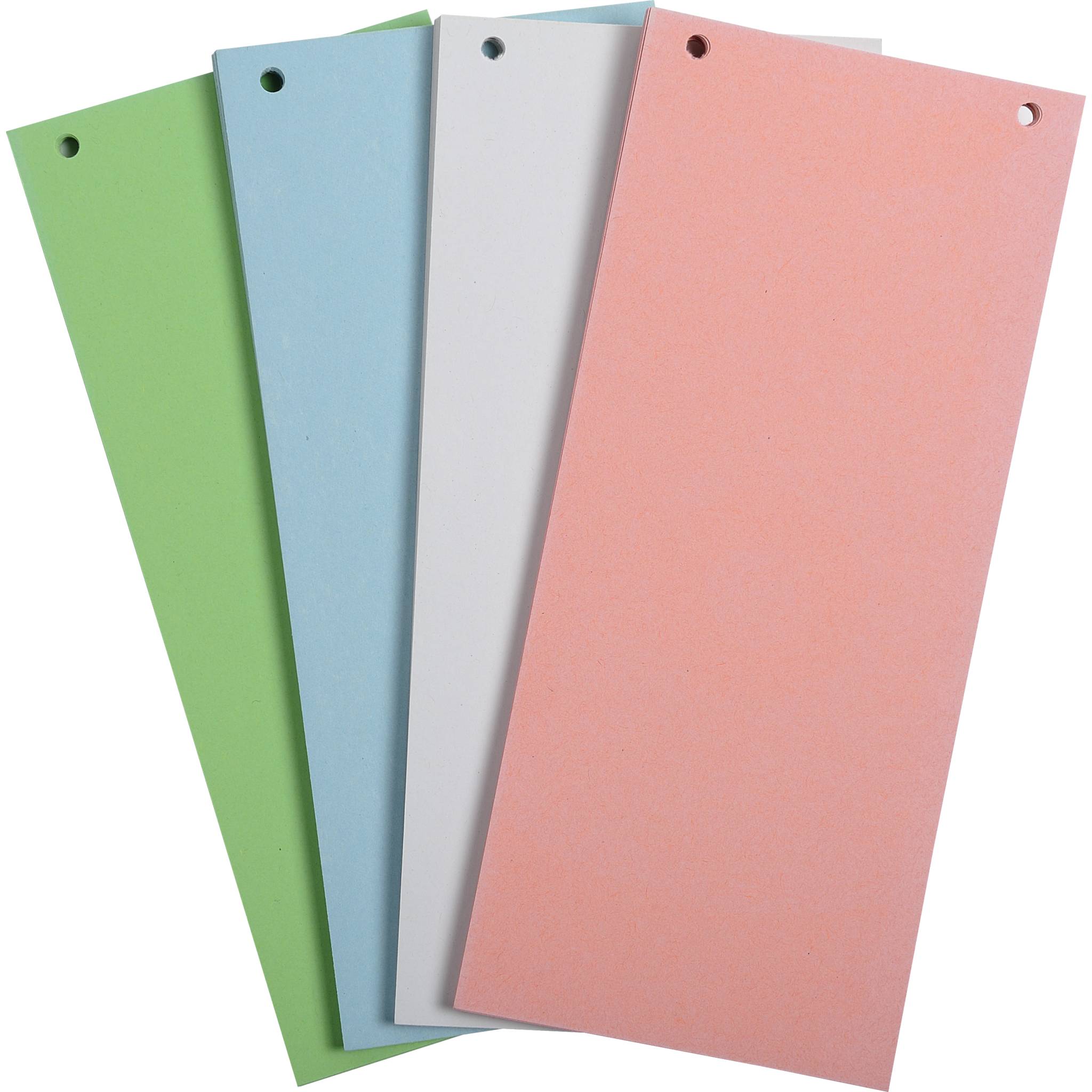 Exacompta 12x 100 Trennstreifen 2-fach gelocht RC Kart 105x240mm sortiert 13495B