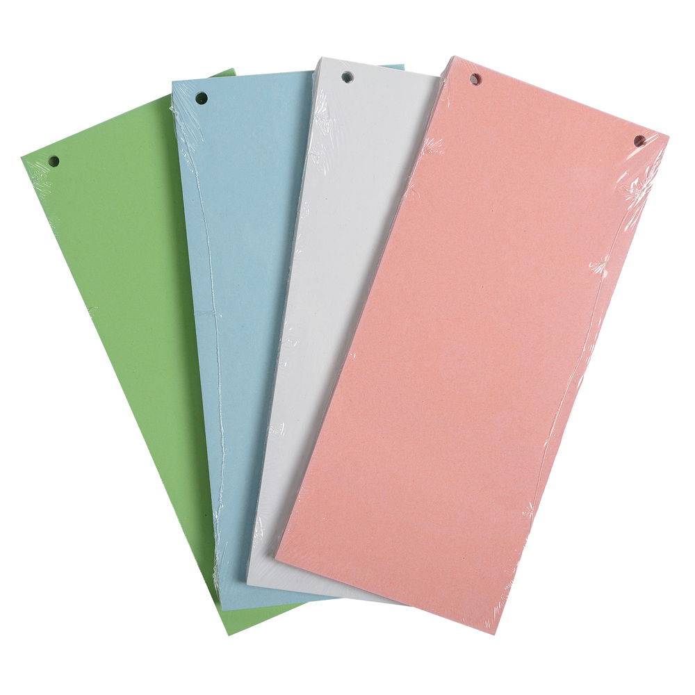 Exacompta 12x 100 Trennstreifen 2-fach gelocht RC Kart 105x240mm sortiert 13495B