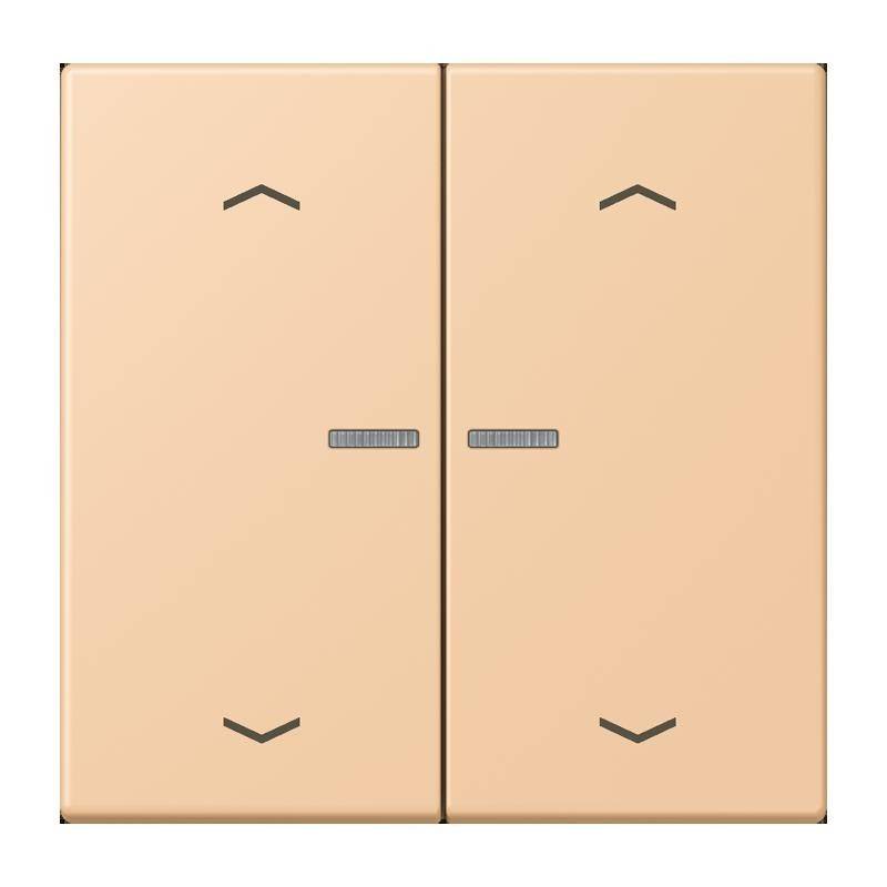 Jung Taster mit Pfeilsymbolen BT LC 17102 P 237