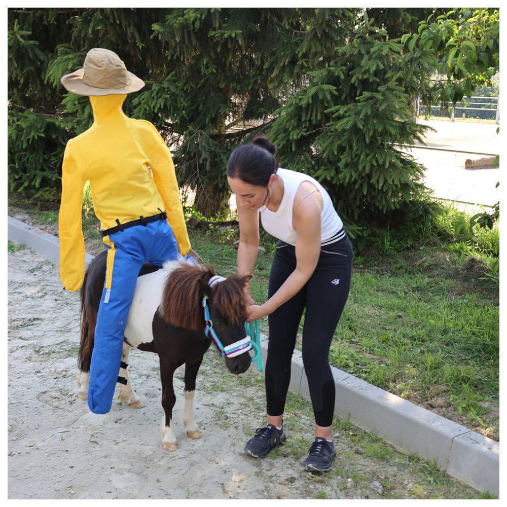 Dönges Anreitpuppe Pferdinand