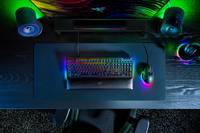 Razer BlackWidow V4 - Tastatur - Hintergrundbeleuchtung