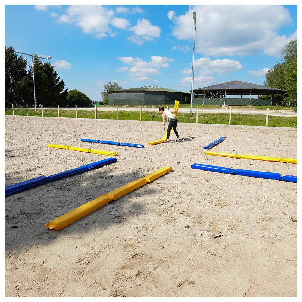 Dönges Pferdegasse à 300 x 17 x 10 cm, Gelb