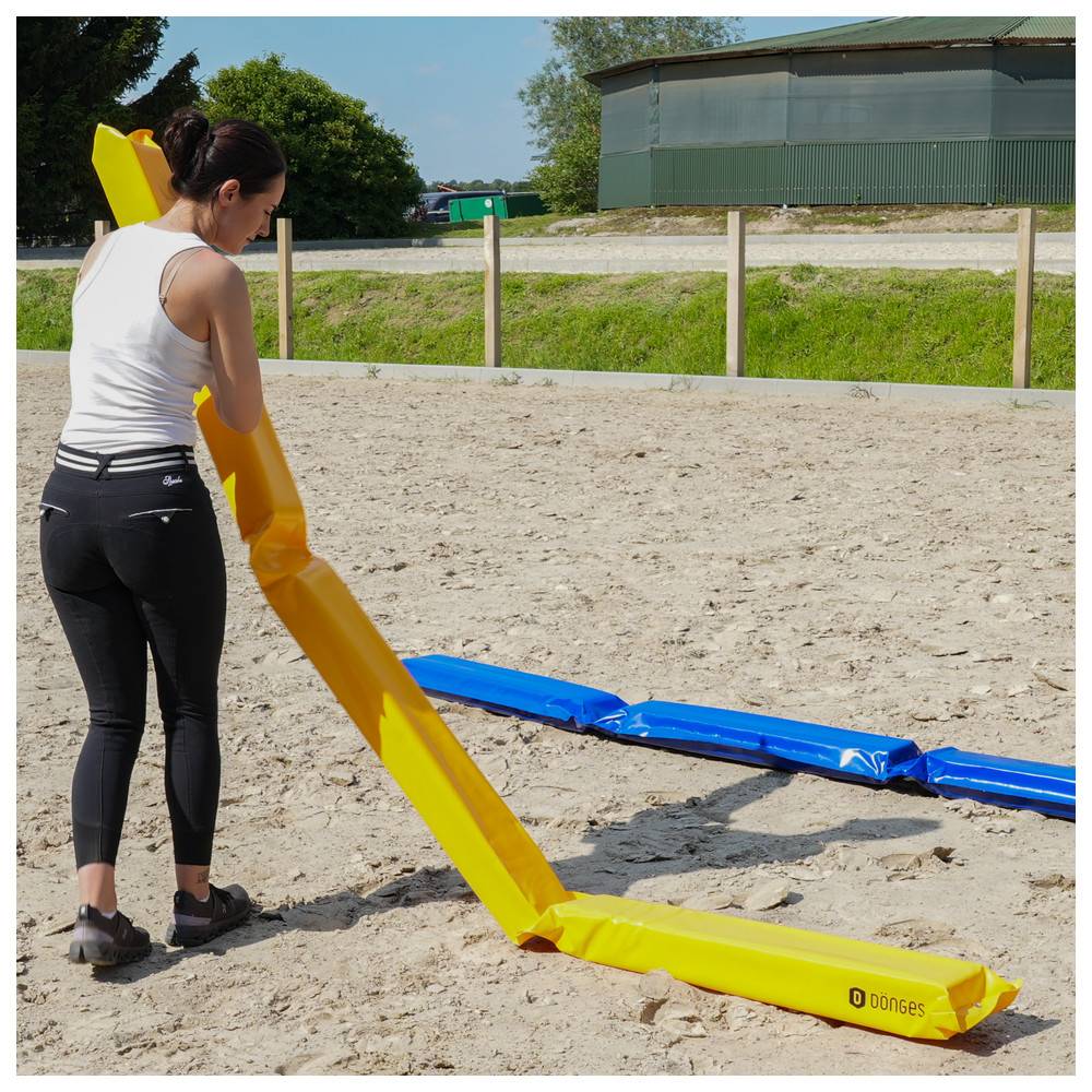 Dönges Pferdegasse à 300 x 17 x 10 cm, Gelb