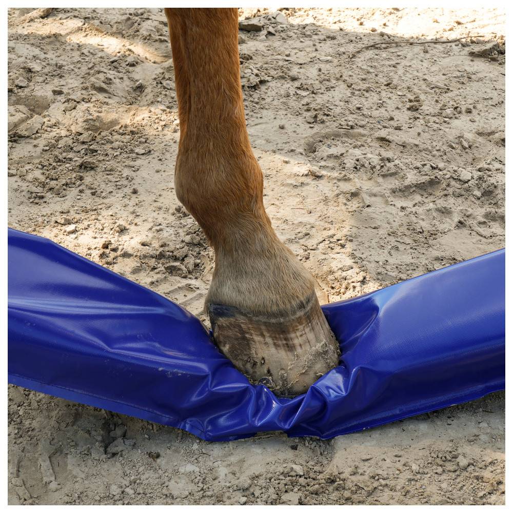 Dönges Pferdegasse à 300 x 17 x 10 cm, Gelb