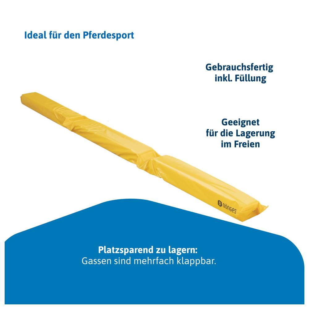 Dönges Pferdegasse à 300 x 17 x 10 cm, Gelb