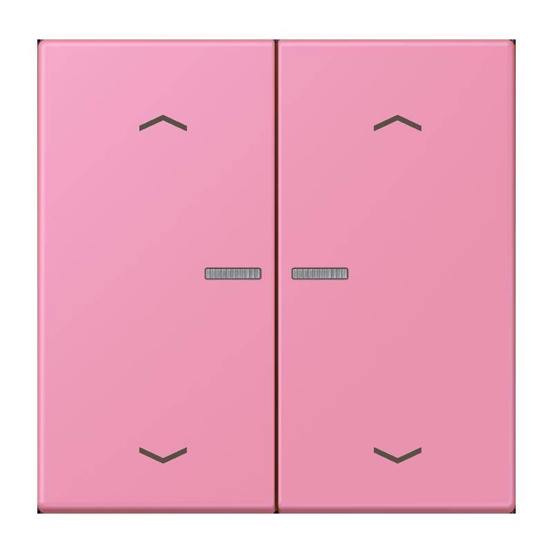 Jung Taster mit Pfeilsymbolen BT LC 17102 P 246