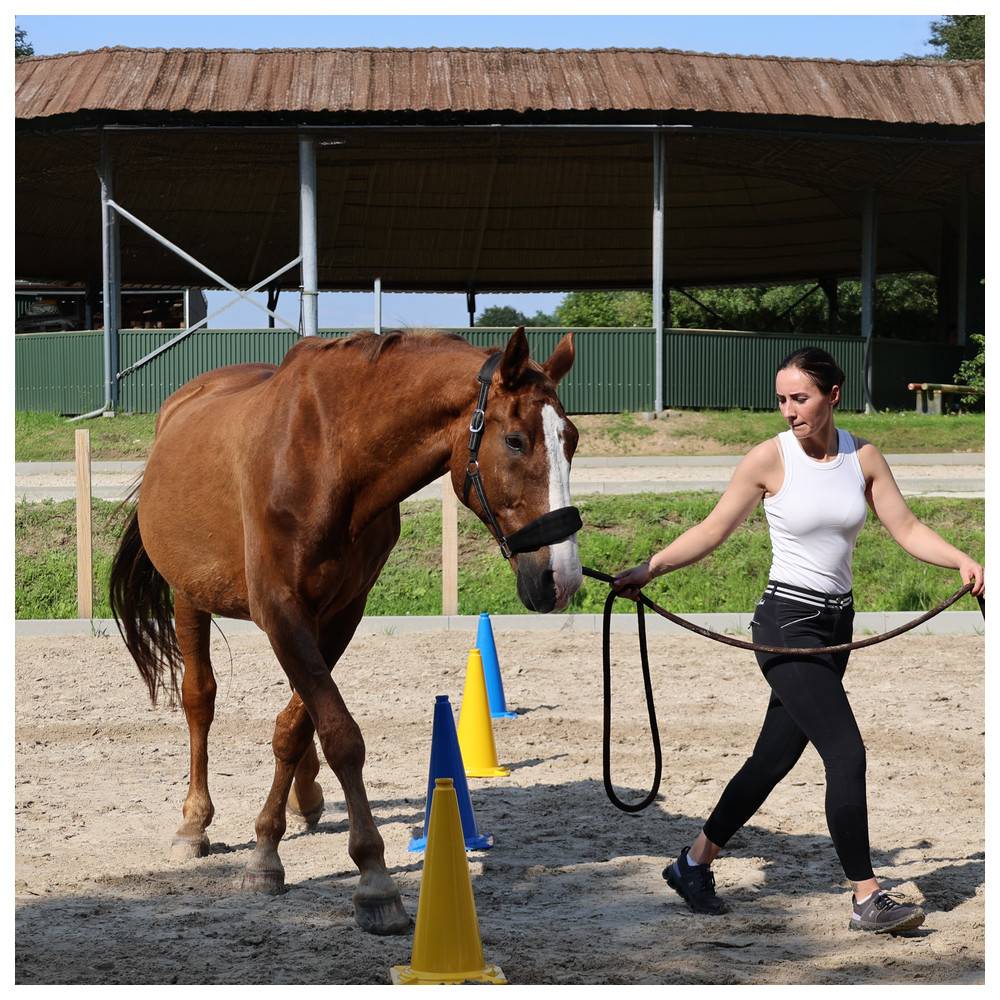 Dönges XXL Pylon, blau