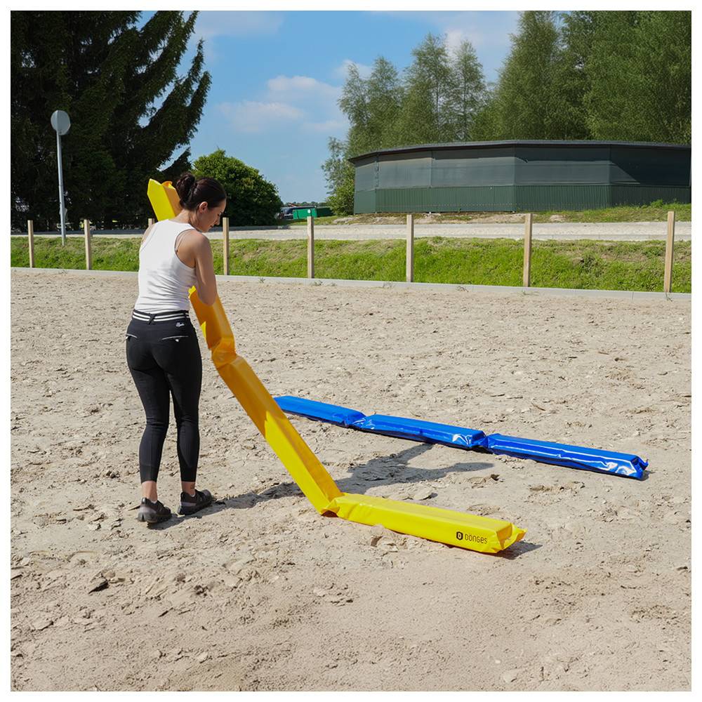 Dönges Pferdegasse à 300 x 17 x 10 cm, Blau