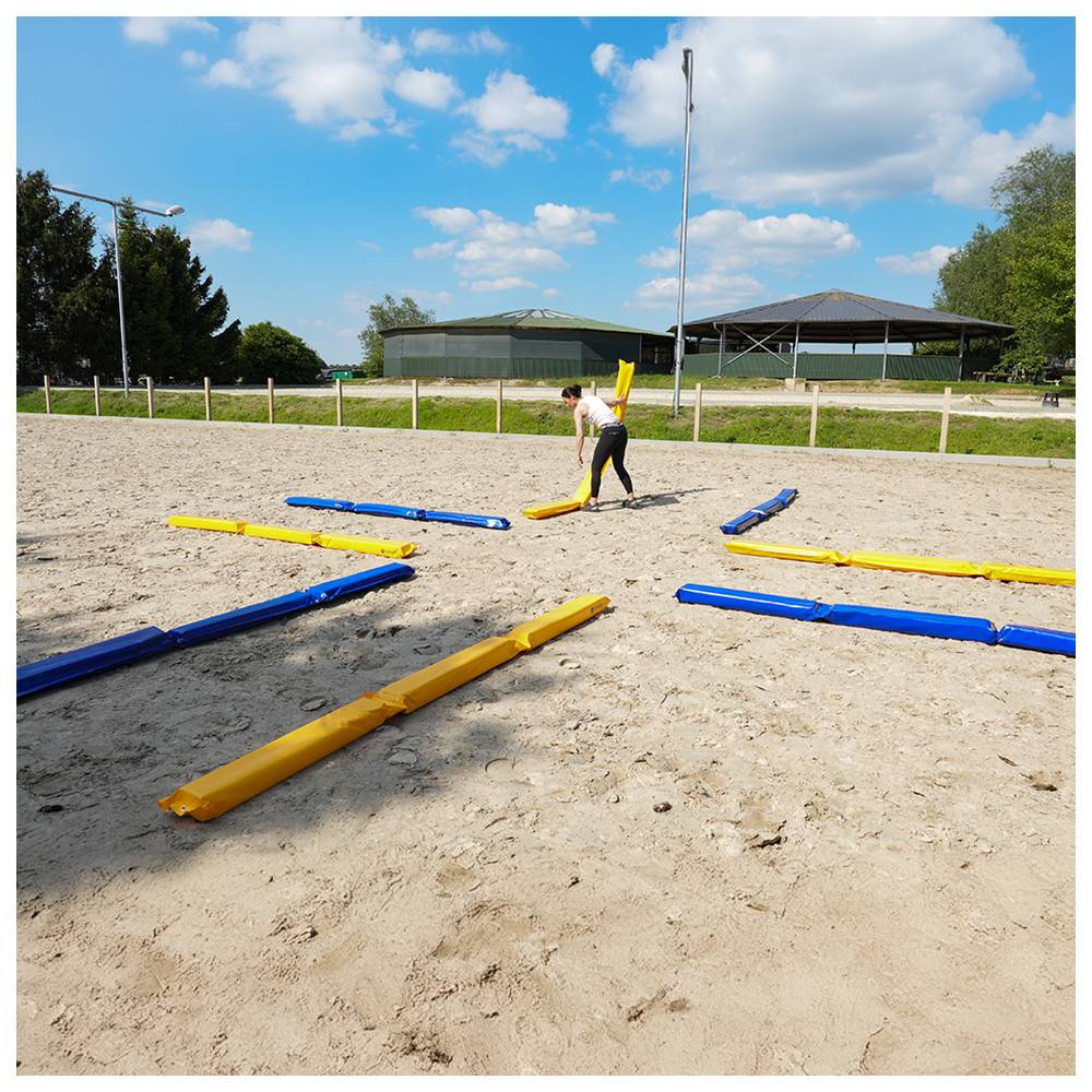 Dönges Pferdegasse à 300 x 17 x 10 cm, Blau