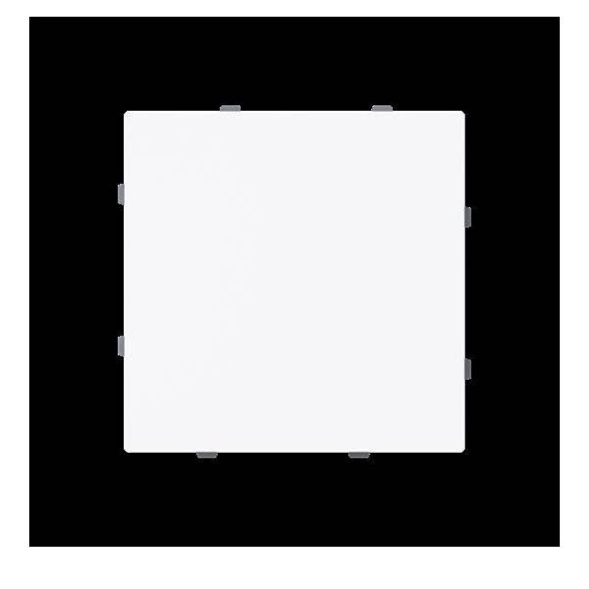 Busch-Jaeger Blindzentralscheibe 1742-44G