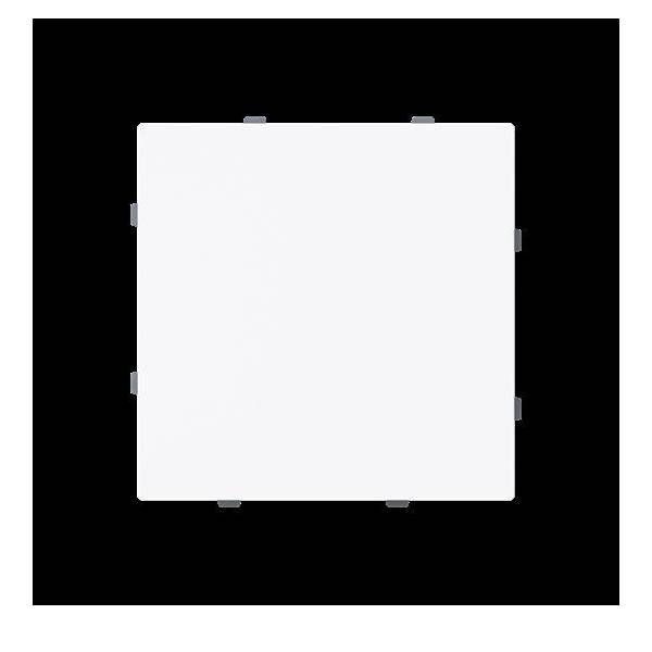 Busch-Jaeger Blindzentralscheibe 1742-44G