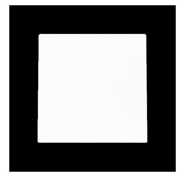 Busch-Jaeger Blindzentralscheibe 1749-44M