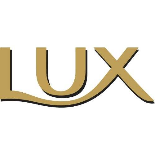 Professional Flüssigseife LUX 2x5 Liter