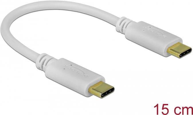 Delock USB-C / power cable
