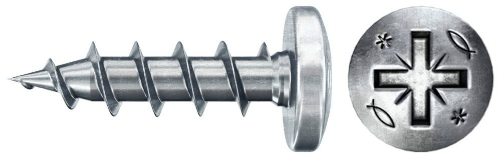 Nahaufnahme einer Metallschraube mit breitem, flachem Kopf und Spiralgewinde, die für eine sichere Befestigung konzipiert ist.