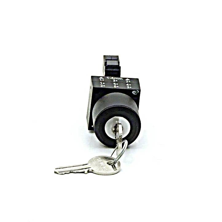 Siemens 2 Stück Schlüsselschalter RONIS (3SB3202-4AD11)