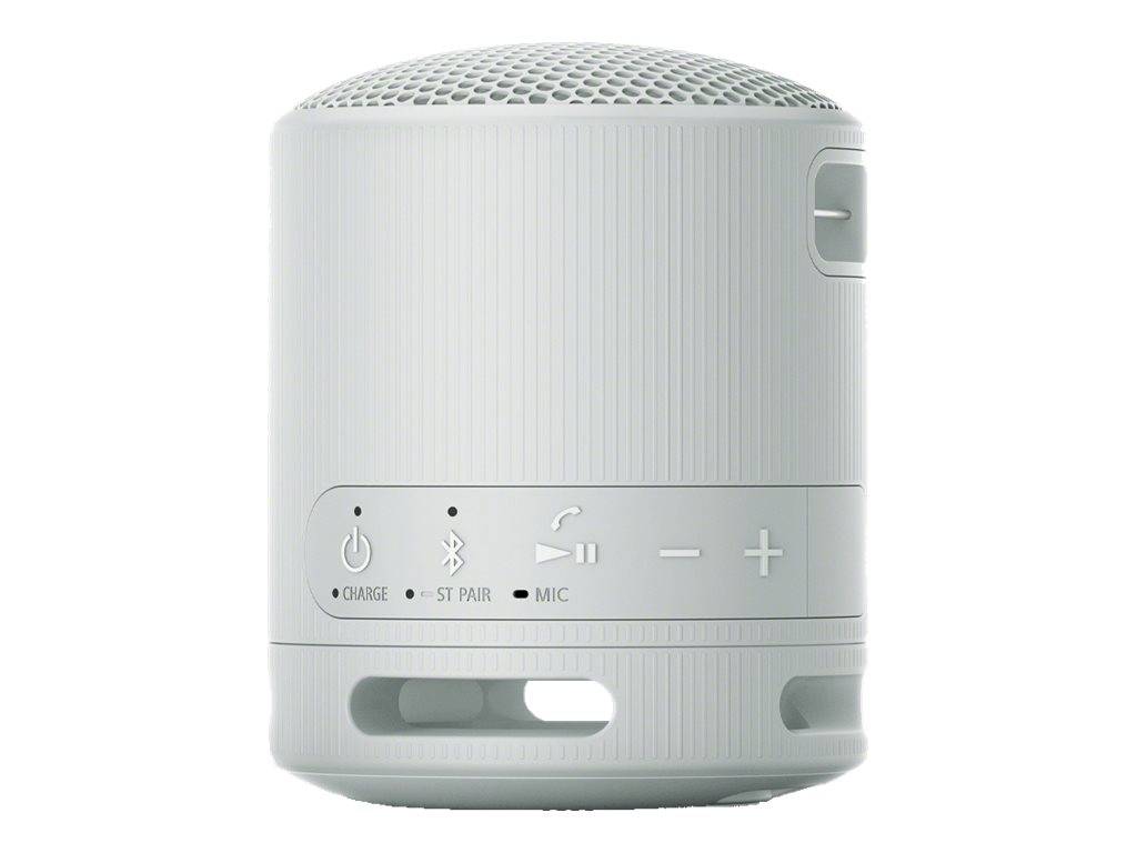 SRS-XB100 Speaker Grey